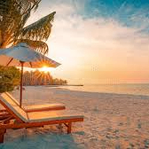 Vita Nell (vita51.lens) Lens social identity (.lens handle) PFP