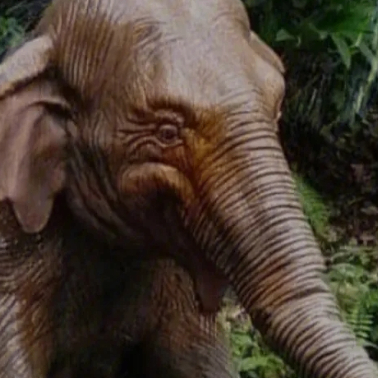 Michael Charley (jjjjp.lens) Lens social identity (.lens handle) PFP