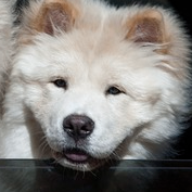 Bmwje (bmwje.lens) Lens social identity (.lens handle) PFP