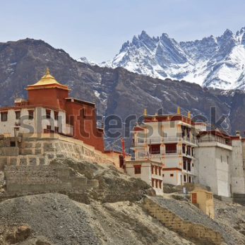 sonam gurmet (berozgar.lens) Lens social identity (.lens handle) PFP