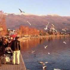 Dennis Tommy (dlggg.lens) Lens social identity (.lens handle) PFP