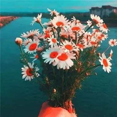 Simona Wright (fffnn.lens) Lens social identity (.lens handle) PFP