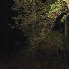 MythoAmerica (mythoamerica.lens) Lens social identity (.lens handle) PFP