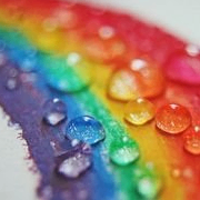 Sara Halifax (drewsd.lens) Lens social identity (.lens handle) PFP