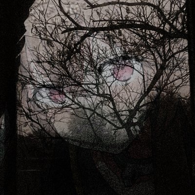 dxmeliadotwav (dxmeliadotwav.lens) Lens social identity (.lens handle) PFP