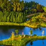 niujsfdhcjshbc (klllll.lens) Lens social identity (.lens handle) PFP