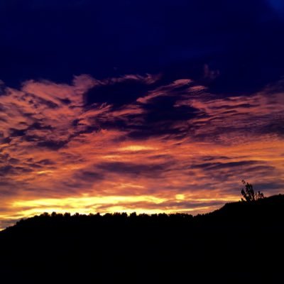 frostynuts1234 (frostynuts1234.lens) Lens social identity (.lens handle) PFP