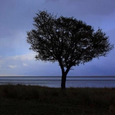 tunch (tunch.lens) Lens social identity (.lens handle) PFP