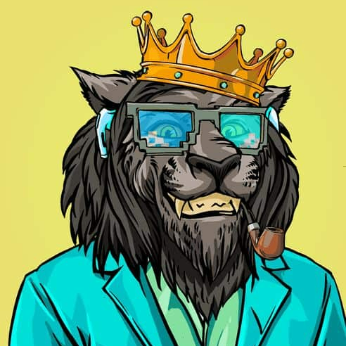 noowar.lens Lens social identity (.lens handle) PFP