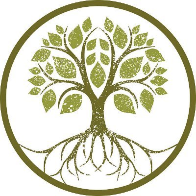 VeriteDiffusee (veritediffusee.lens) Lens social identity (.lens handle) PFP