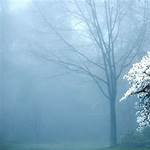 yellow (two056.lens) Lens social identity (.lens handle) PFP