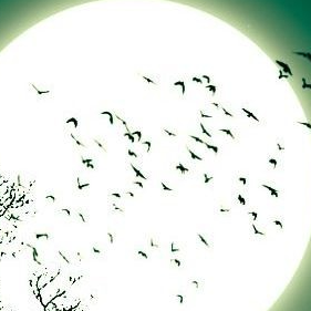 Dima (jericahipspfef.lens) Lens social identity (.lens handle) PFP