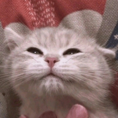 1laurelWehner (1laurelwehner.lens) Lens social identity (.lens handle) PFP