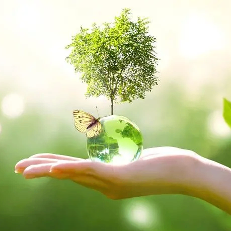 SafeEnvironment (safeenvironment.lens) Lens social identity (.lens handle) PFP