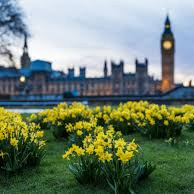 Bamboo shoots (tuaka.lens) Lens social identity (.lens handle) PFP