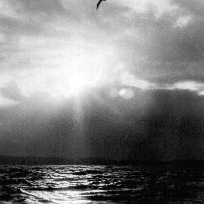 Lory (lauren23.lens) Lens social identity (.lens handle) PFP