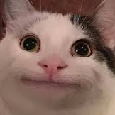 Vickto (vikto08.lens) Lens social identity (.lens handle) PFP