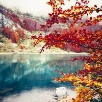 ghindam (ghindam.lens) Lens social identity (.lens handle) PFP