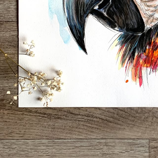 Eldric Veil (chartbeat.lens) Lens social identity (.lens handle) PFP