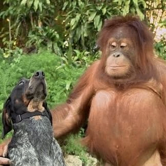 Nature is Amazing (natureisamazing.lens) Lens social identity (.lens handle) PFP