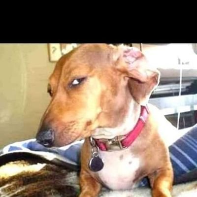 Mwangokevi (mwangokevi.lens) Lens social identity (.lens handle) PFP