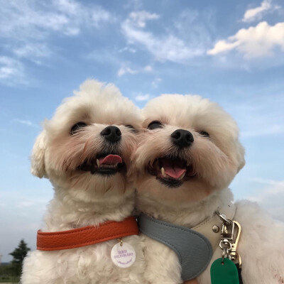 Earthasa (pedro044.lens) Lens social identity (.lens handle) PFP