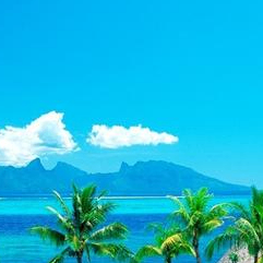 Darnell Addison (ggggff.lens) Lens social identity (.lens handle) PFP