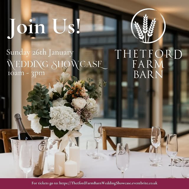 Lena Stratovac (tvdata.lens) Lens social identity (.lens handle) PFP