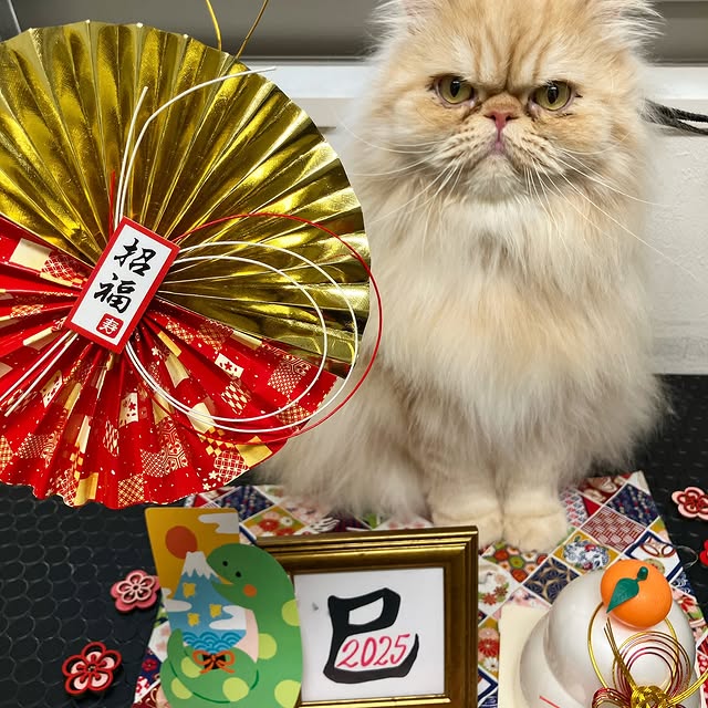 Numb3r Cruncher 🧮 (tmztour.lens) Lens social identity (.lens handle) PFP