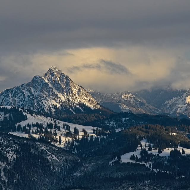 Echo Harmonix (woobox.lens) Lens social identity (.lens handle) PFP