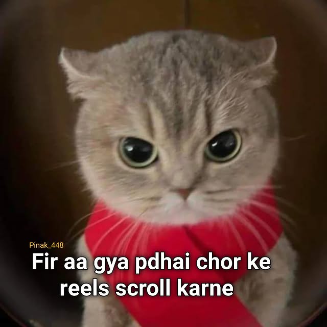 Nudge Whisperer (informer.lens) Lens social identity (.lens handle) PFP