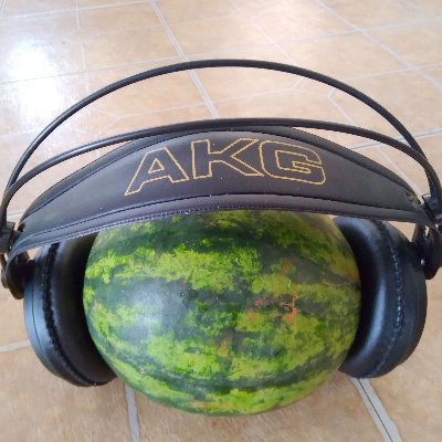 LeoPoldAllDay (leopoldallday.lens) Lens social identity (.lens handle) PFP