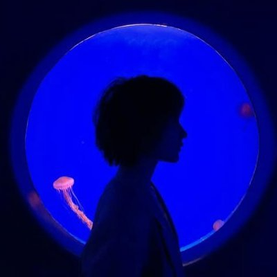 blue dream (bluedreamvibes.lens) Lens social identity (.lens handle) PFP