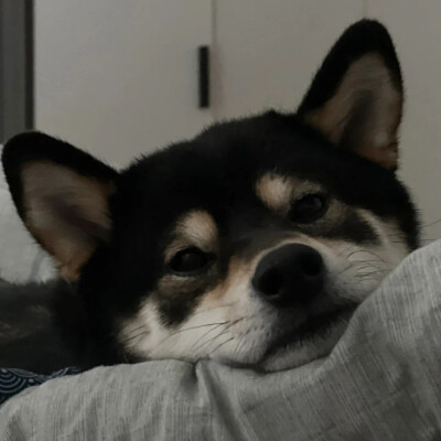 miraso (miraso.lens) Lens social identity (.lens handle) PFP