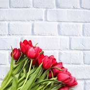 YOYO (388588.lens) Lens social identity (.lens handle) PFP