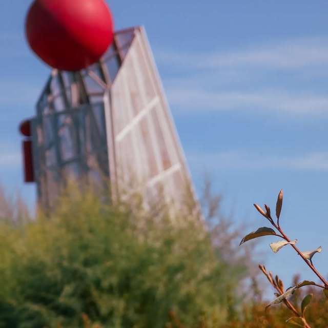 Evelyn Greenfield (basketbol.lens) Lens social identity (.lens handle) PFP