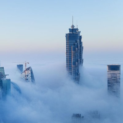 Mokkas (mokkas.lens) Lens social identity (.lens handle) PFP