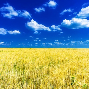 Evgenyi (krikkk.lens) Lens social identity (.lens handle) PFP