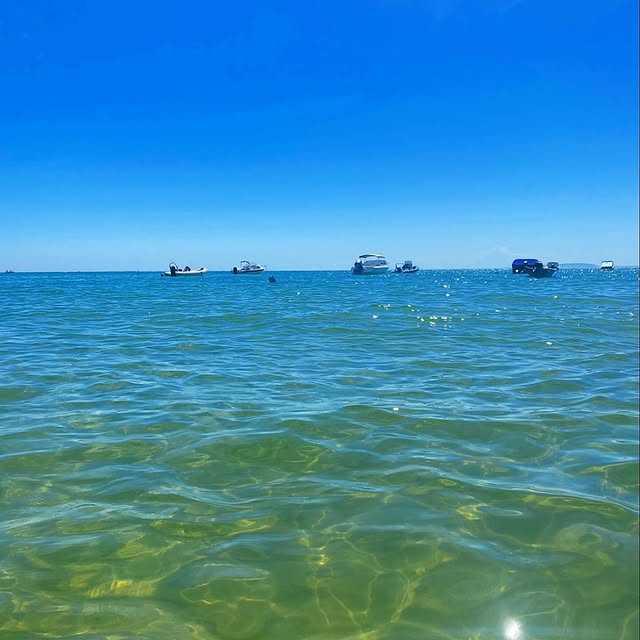 Pixel Artemis (geico.lens) Lens social identity (.lens handle) PFP