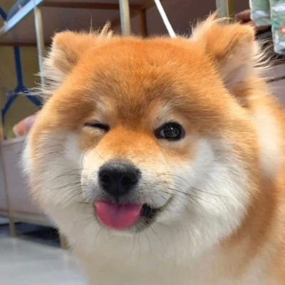 duju (dujuw.lens) Lens social identity (.lens handle) PFP