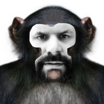 Thekeksociety (thekeksociety.lens) Lens social identity (.lens handle) PFP