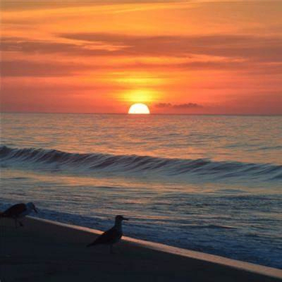 Zainal (lovellku.lens) Lens social identity (.lens handle) PFP