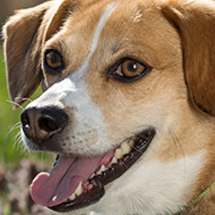 p6icksmd (karjanaa.lens) Lens social identity (.lens handle) PFP