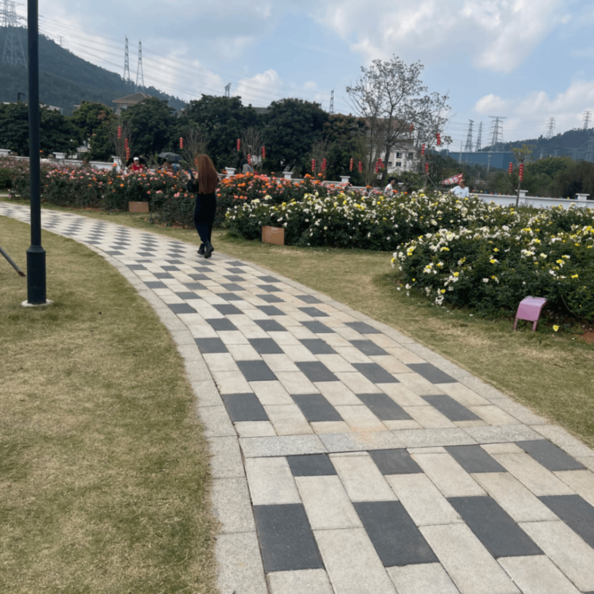 marry (heddi.lens) Lens social identity (.lens handle) PFP