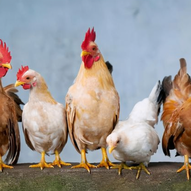 nbnbmmmm (vbbbbb.lens) Lens social identity (.lens handle) PFP