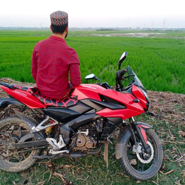 MD BAPPI MOLLAH (precious.lens) Lens social identity (.lens handle) PFP