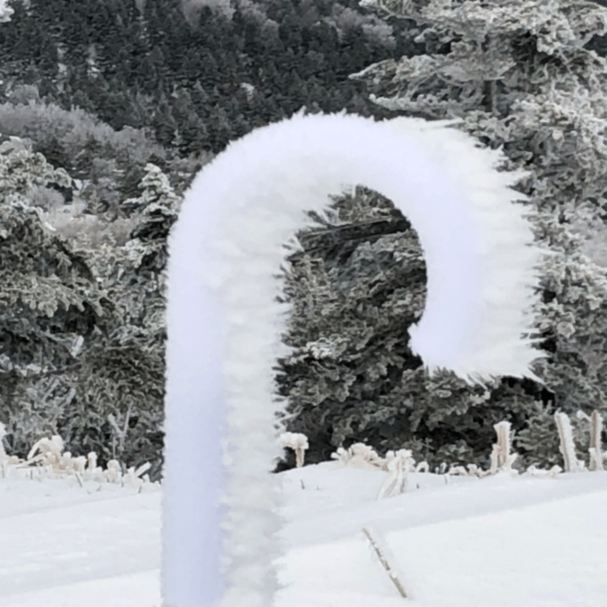 mizusky.lens Lens social identity (.lens handle) PFP