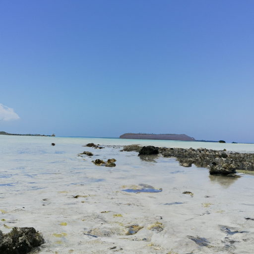 隆·艾卜多力 (abdullahi.lens) Lens social identity (.lens handle) PFP