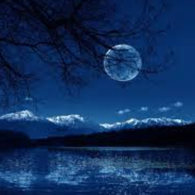 jhbhbjbjhj (neeeee.lens) Lens social identity (.lens handle) PFP