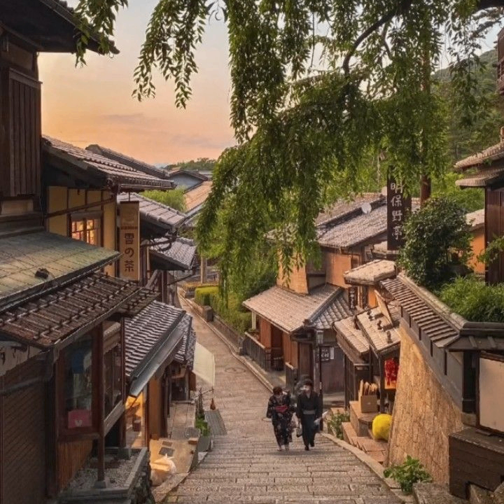 soyoung (soyoung.lens) Lens social identity (.lens handle) PFP